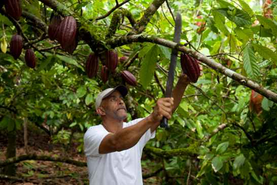 Comercio justo