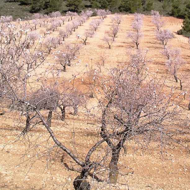 Agricultores que siguen