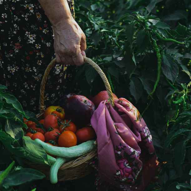 Celebramos el sí a la ley europea de Restauración de la Naturaleza