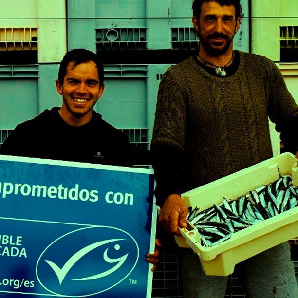 MSC: pescado con sello azul por un mar vivo