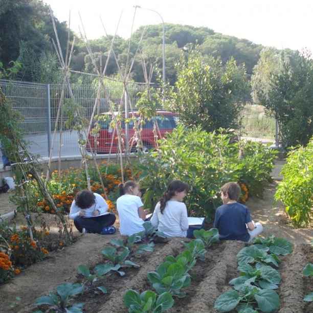 El huerto escolar: la revolución en la escuela