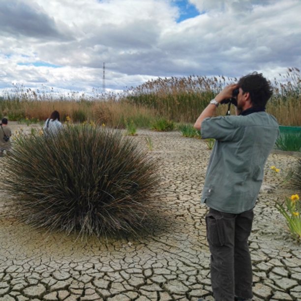 Por qué mirando aves ayudo a proteger la naturaleza