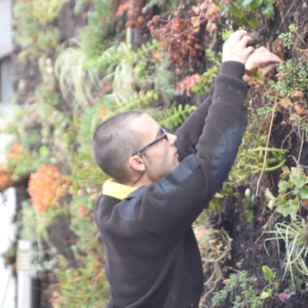 El jardín vertical: un muro de oportunidades