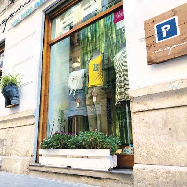 Triodos Bank dedicará más de 60 millones € a la financiación de proyectos de inversión y liquidez