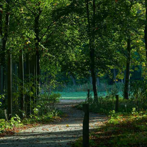 Triodos Bank apoya plenamente la ley europea sobre la restauración de la naturaleza