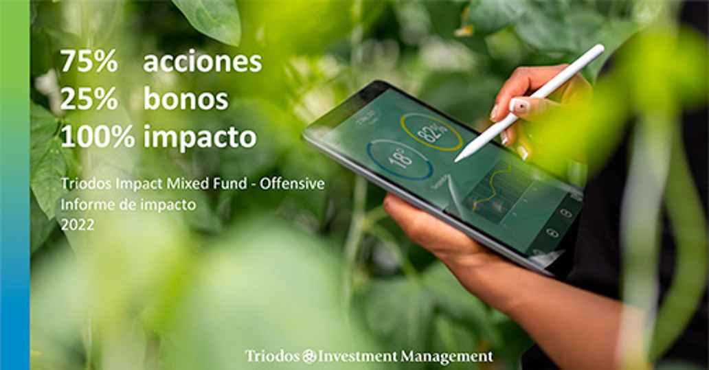 Informe de Impacto