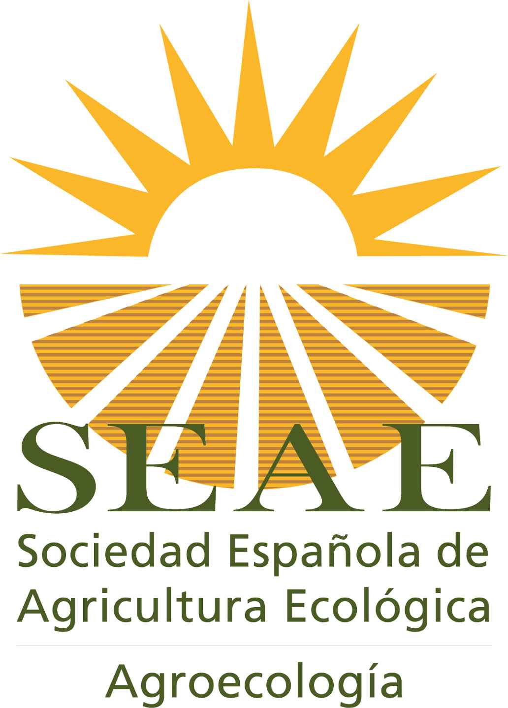 SEAE logo