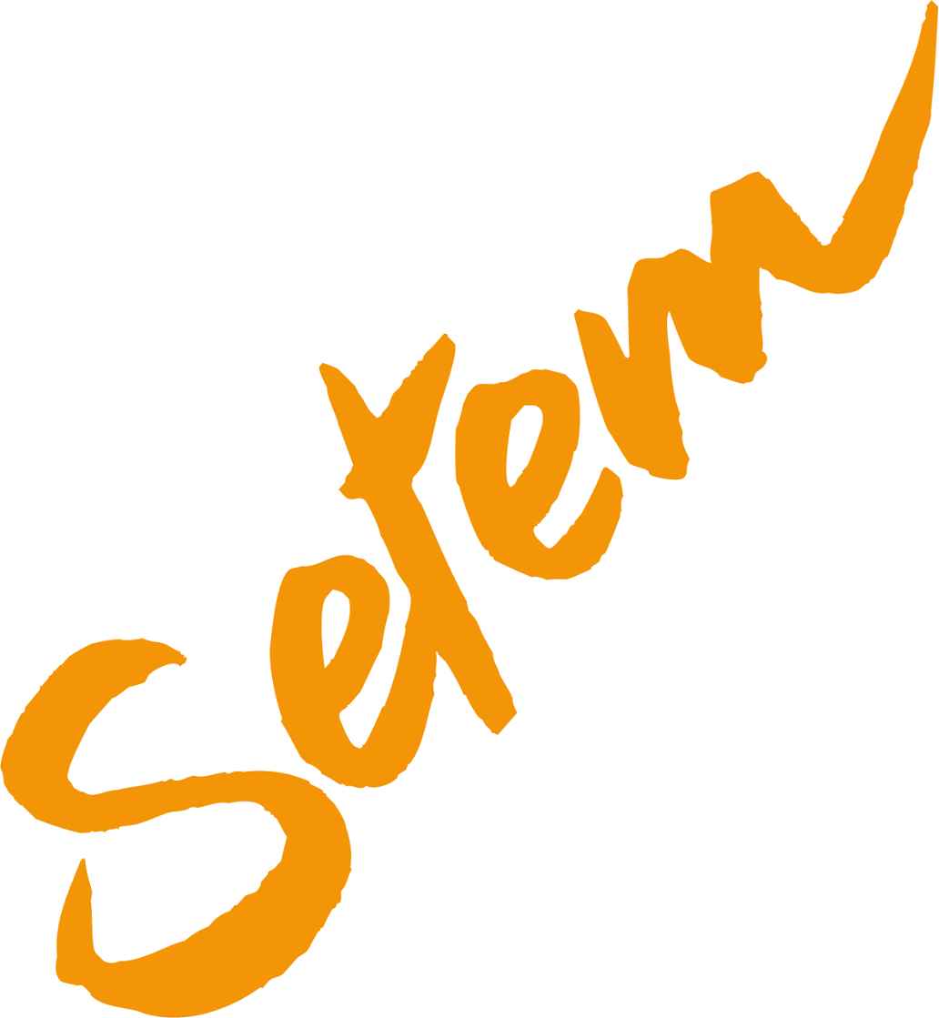 Setem logo