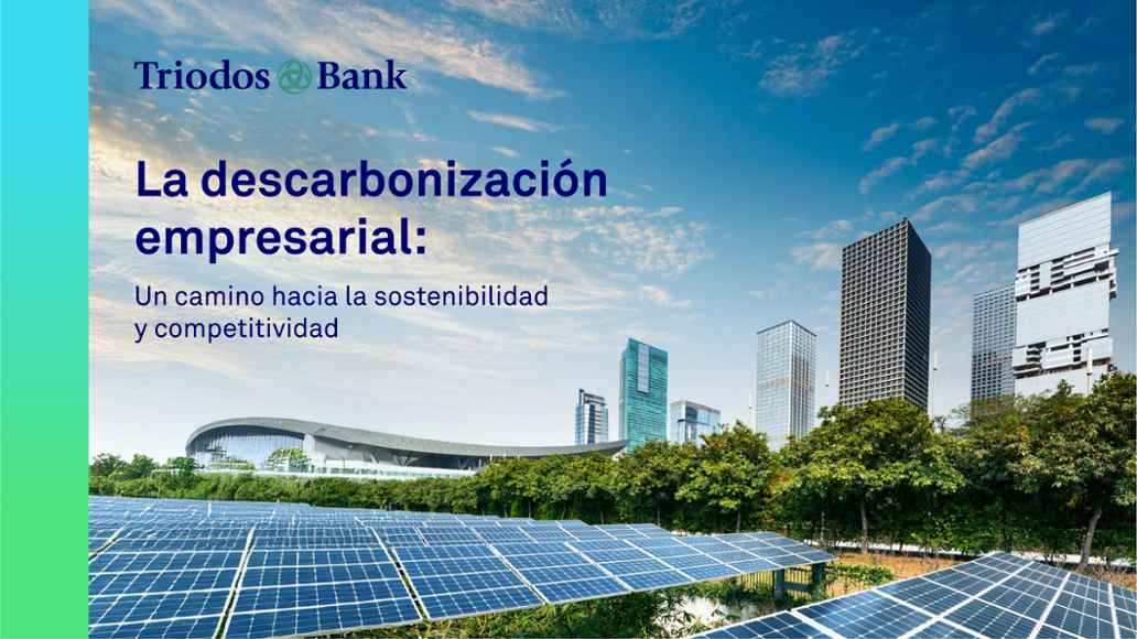 Descargar Paper Descarbonización Empresarial