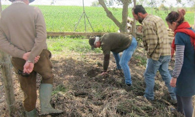 Asociación Subbética Ecológica