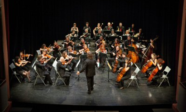 L'Orquestra Camera Musicae