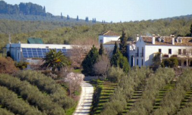 Cortijo de Suerte Alta