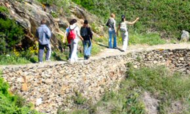 Ruscínia Educació Mediambiental