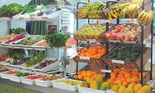 Biosol Canarias
